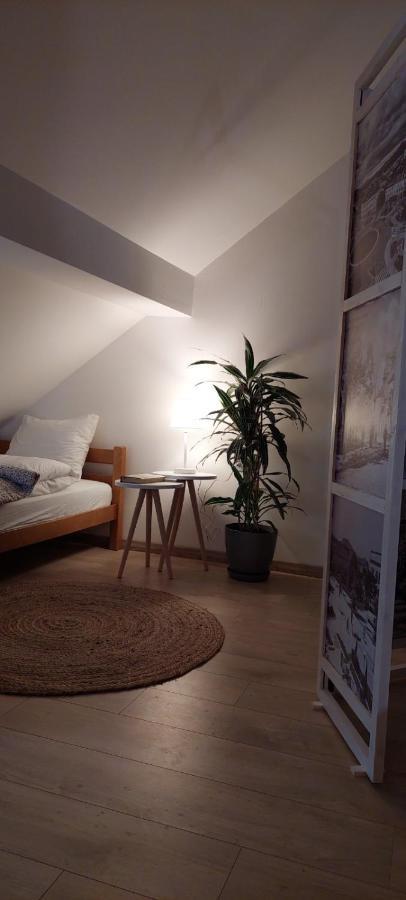 شقة House 11 Nikšić المظهر الخارجي الصورة